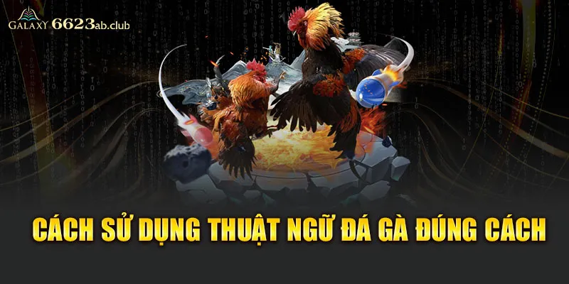 Cách sử dụng thuật ngữ đá gà đúng cách