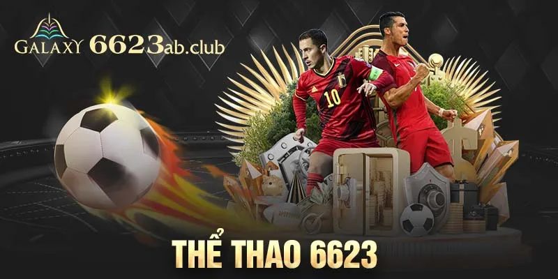 Thể thao 6623