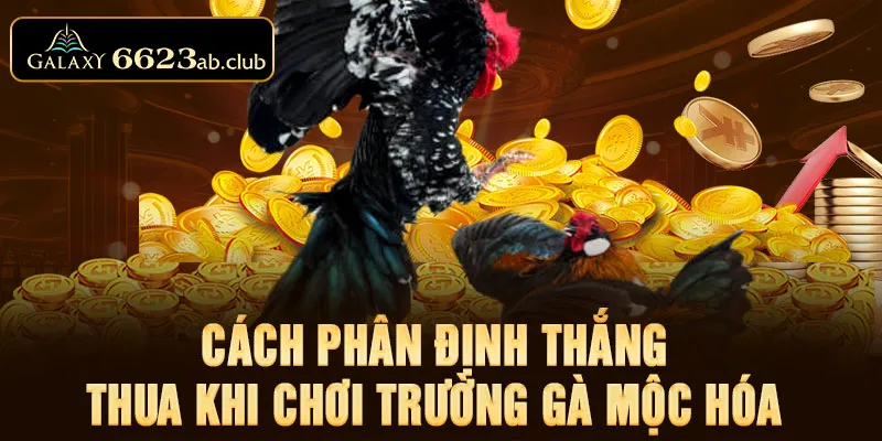 Cách phân định thắng thua khi chơi trường gà Mộc Hóa