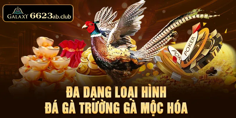 Đa dạng loại hình đá gà trường gà Mộc Hóa