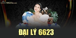 đại lý 6623