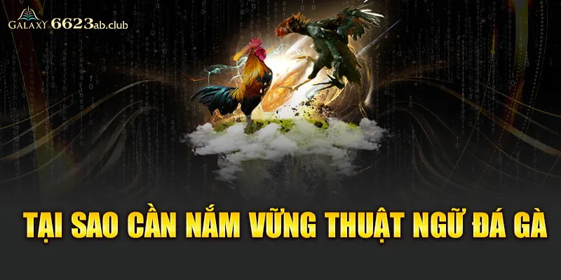 Tại sao cần nắm vững thuật ngữ đá gà