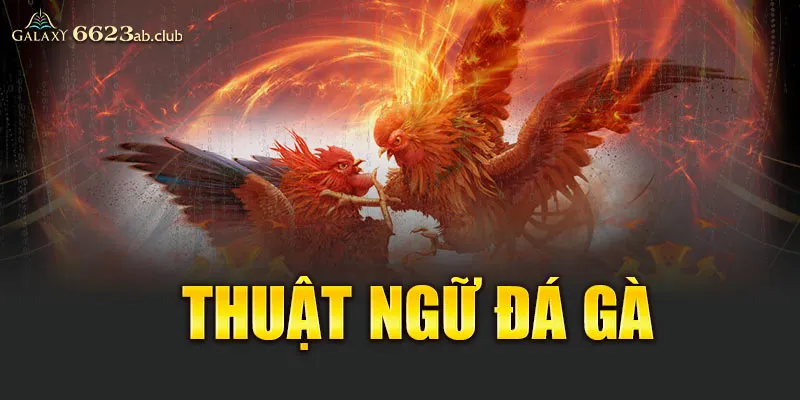 thuật ngữ đá gà