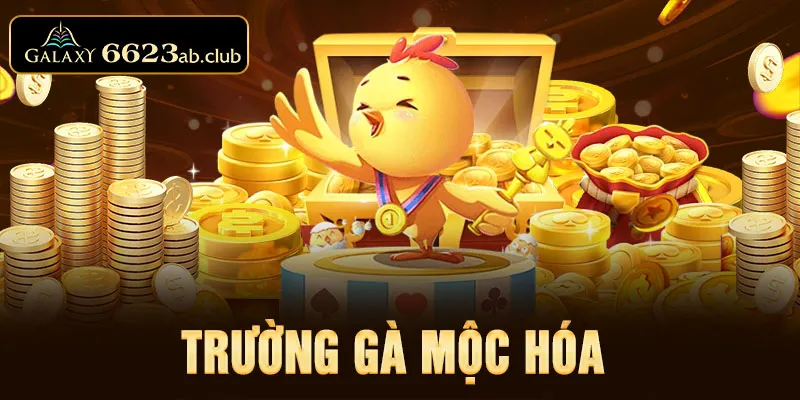 Trường gà Mộc Hóa